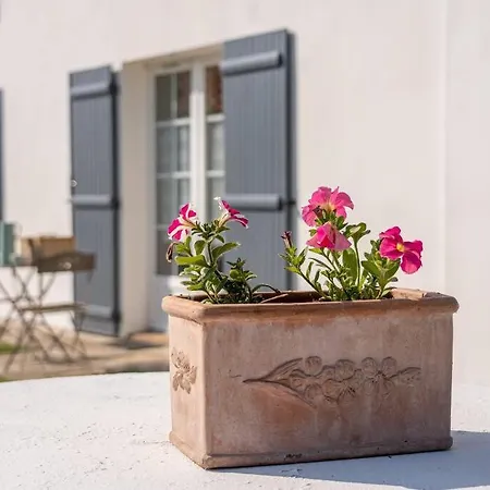 Le Bois Berranger * Saint-Urbain (Vendee)